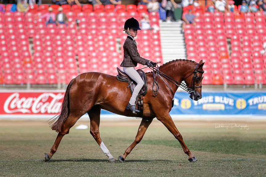 Product review - Liquid Titanium Far Infrared Ear Plugs, by Brooke Carter