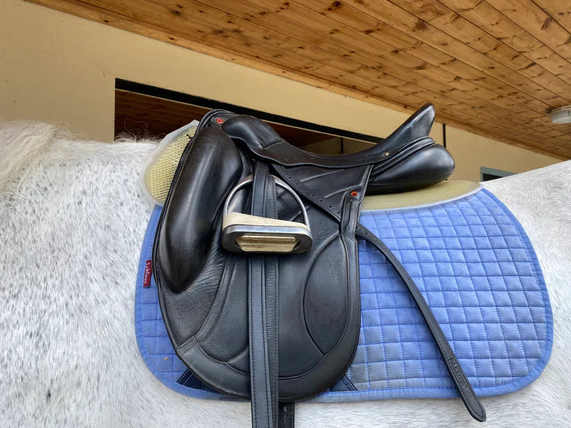 FAQs With Experienced Riders: Why They Chose VIP Saddle Pads (and Haven’t Looked Back!)