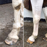 Polar White Stain Remover 500ml