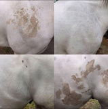 Polar White Stain Remover 500ml