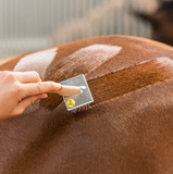 Velcro Cleaner/Quarter Marking Brush