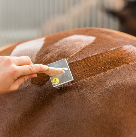 Velcro Cleaner/Quarter Marking Brush