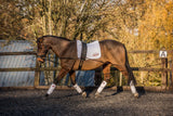 EquiAmi Premium Lunge Aid