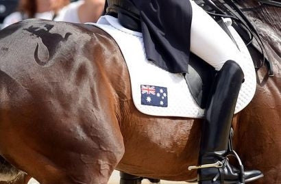 Stencil - boxing kangaroo