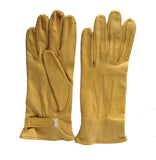 The Arena - Chester Jefferies