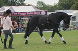 EquiAmi Premium Lunge Aid Complete Kit (incl Roller & Cavesson) - GREAT VALUE