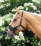 EquiAmi Lunge Cavesson