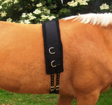 EquiAmi Lunge Roller