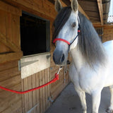 Idolo Coloured Training Pressure Halter