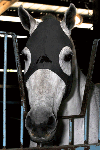 Fenwick Equestrian Liquid Titanium Mask