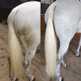 Polar White Stain Remover for horses