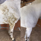 Polar White Stain Remover for horses