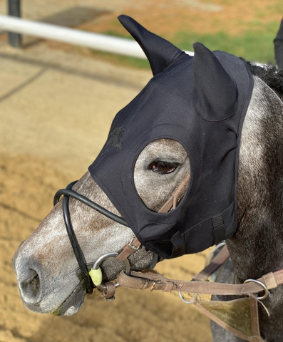 Fenwick Equestrian Liquid Titanium Far InfraRed Therapy Mask with Soundproof Ears