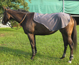 Fenwick Equestrian Liquid Titanium Quarter Sheet