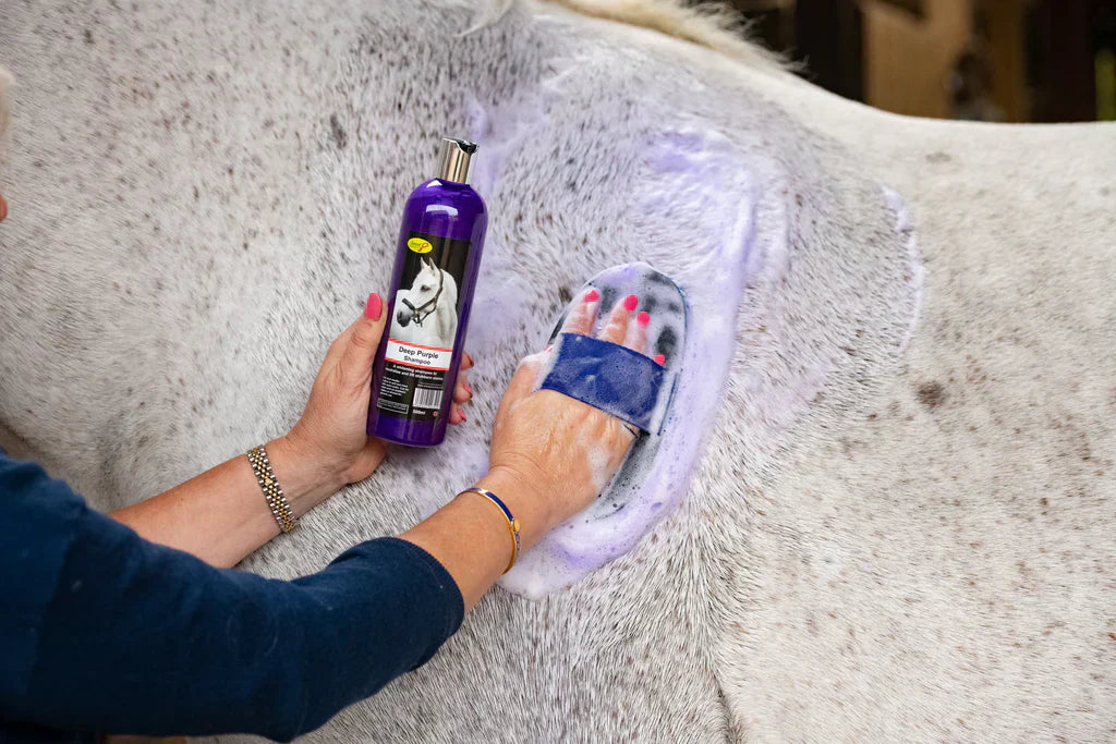 How does purple shampoo whiten horses' stained manes, tails and coats?