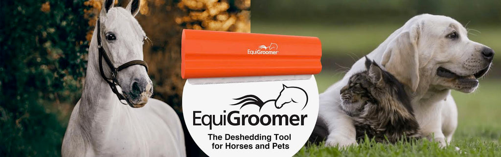 Equigroomer - A grooming tool for your entire animal family