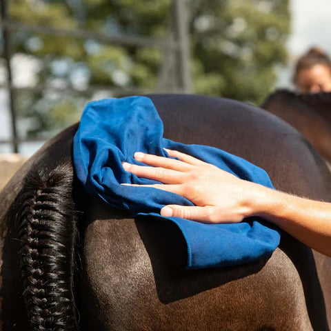 How to clean your horse using the hot cloth technique