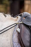 EquiAmi Grass Reins
