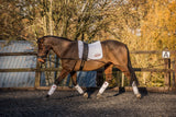 EquiAmi Premium Lunge Aid Complete Kit (incl Roller & Cavesson) - GREAT VALUE