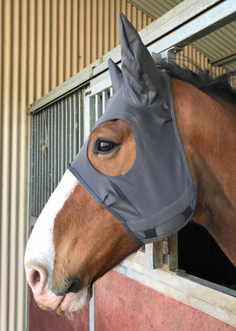Fenwick Equestrian Liquid Titanium Mask with ears