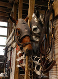 Fenwick Equestrian Liquid Titanium Mask 