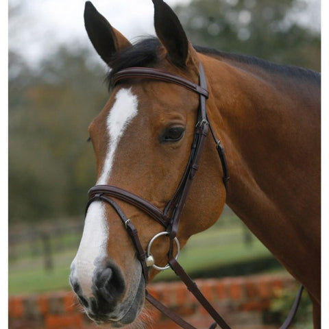 Mark Todd square raised padded bridle with flash noseband