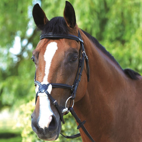Mark Todd padded grakle bridle