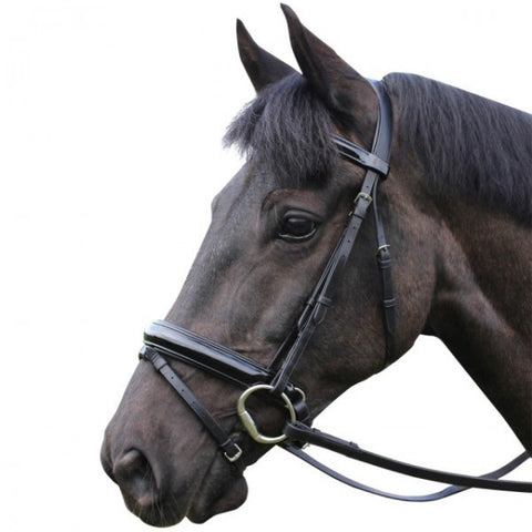 Mark Todd patent leather dressage bridle with flash noseband
